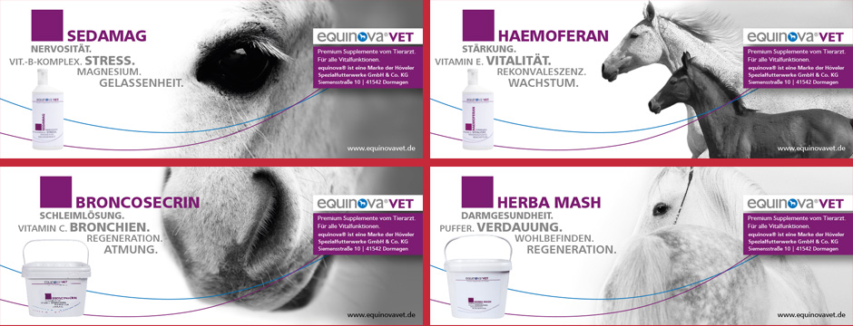equinova®VET - Anzeigen, Banner equinova®VET - Anzeigen, Banner