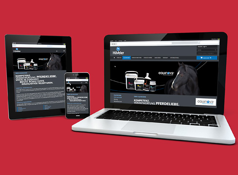 equinova® - Responsive Webdesign equinova® - Responsive Webdesign