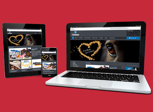 Höveler Website im Responsive Design Höveler Website im Responsive Design